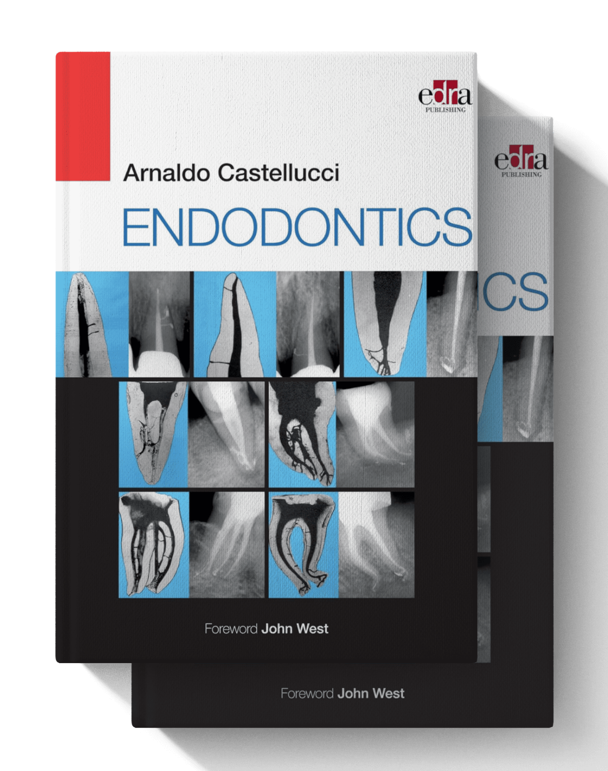 arnaldo castellucci endodontics