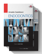 arnaldo castellucci endodontics