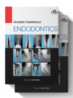arnaldo castellucci endodontics