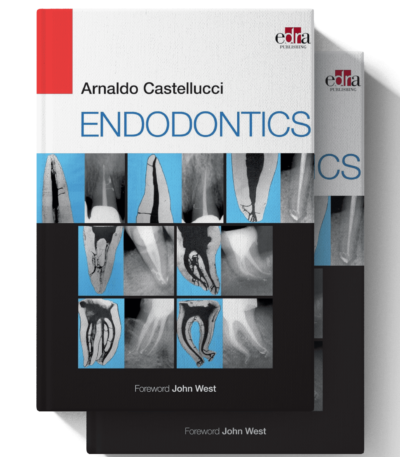 arnaldo castellucci endodontics