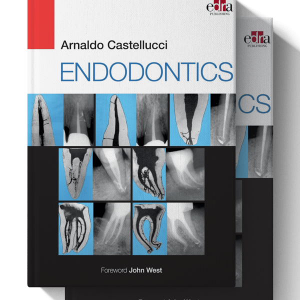 arnaldo castellucci endodontics