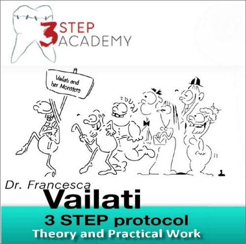 3STEP Academy Video Course (12 Lectures)