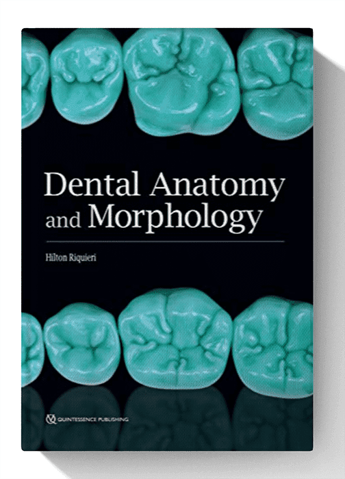 Dental Anatomy and Morphology 1st Edition