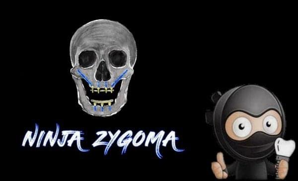 Ninja-Zygoma-Course